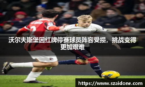 熊猫体育app
