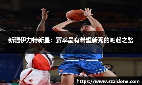 熊猫体育平台官网