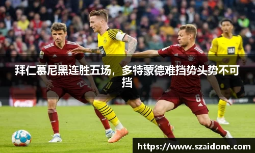 熊猫体育官网
