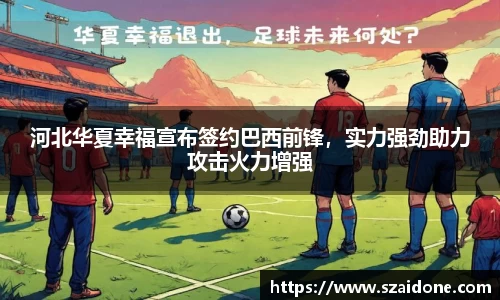 熊猫体育app