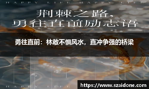 熊猫体育app
