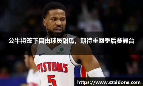公牛将签下自由球员甜瓜，期待重回季后赛舞台