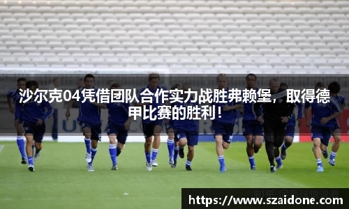 熊猫体育平台官网