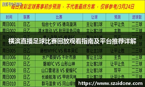 熊猫体育平台官网